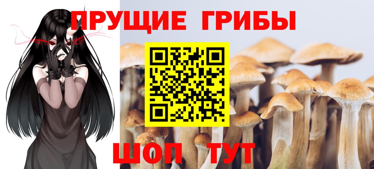 Галлюциногенные грибы Psilocybine cubensis  Вход с VPN  Тихвин  Галлюциногенные грибы ЛСД 