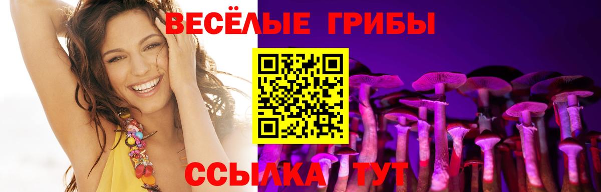 Псилоцибиновые грибы GOLDEN TEACHER Тихвин