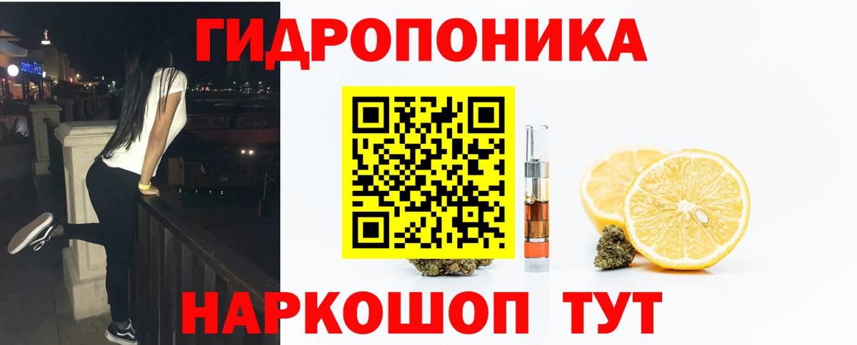 Конопля гибрид Тихвин